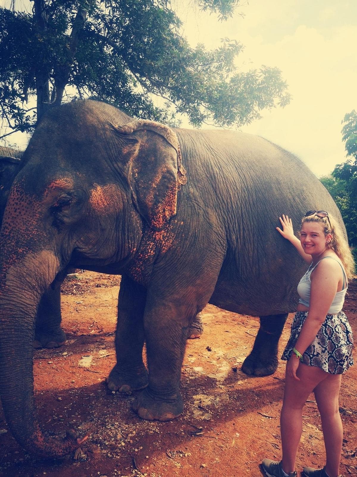 Meg's travel adventure 15